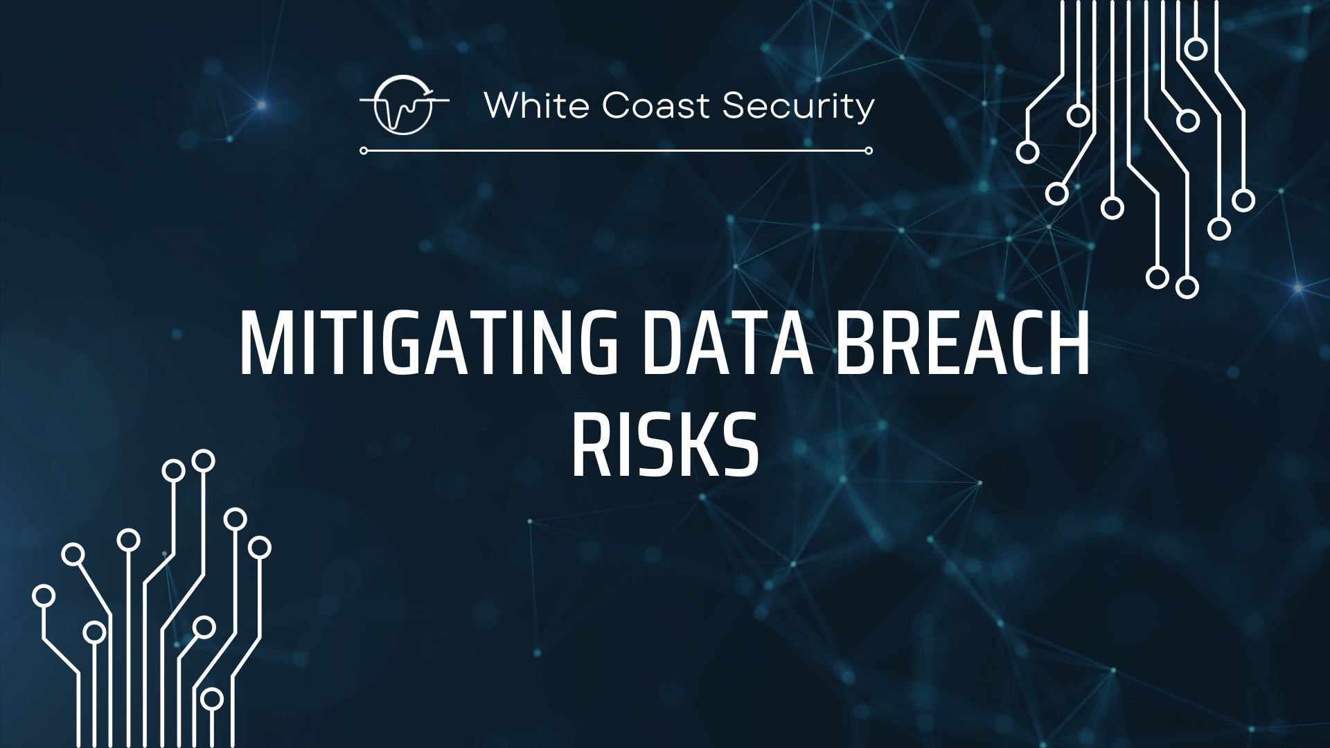 Mitigating Data Breach Risks: A Comprehensive Approach by Whitecoast Security